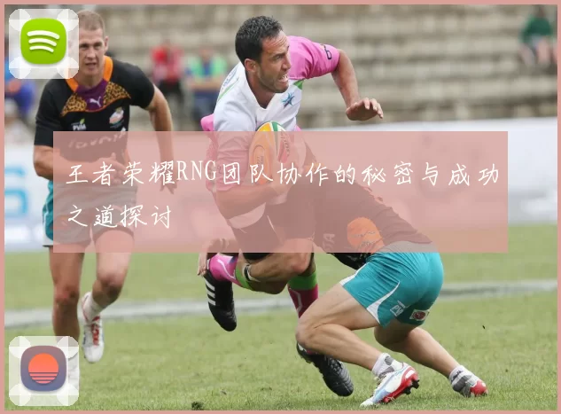 王者荣耀RNG团队协作的秘密与成功之道探讨