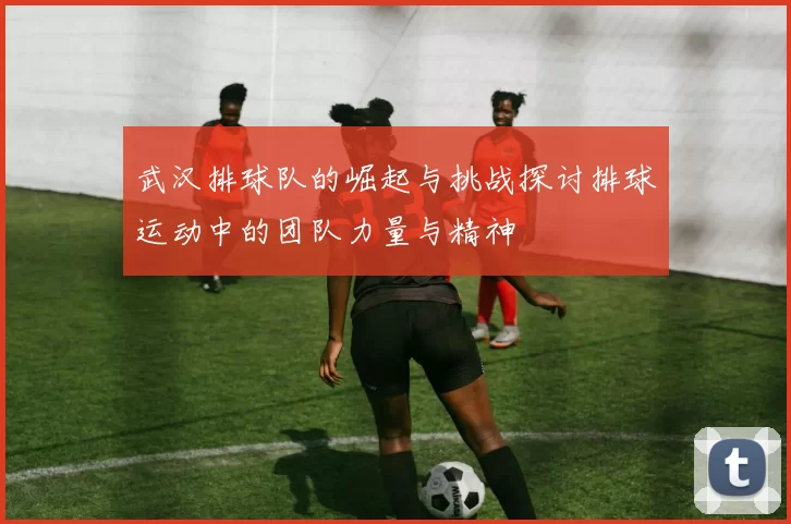 武汉排球队的崛起与挑战探讨排球运动中的团队力量与精神