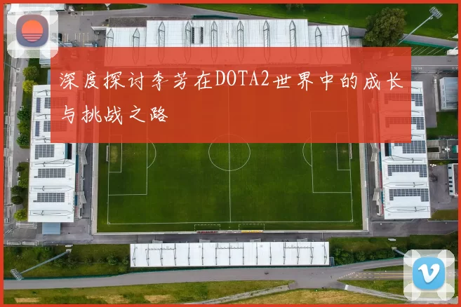 深度探讨李芳在DOTA2世界中的成长与挑战之路