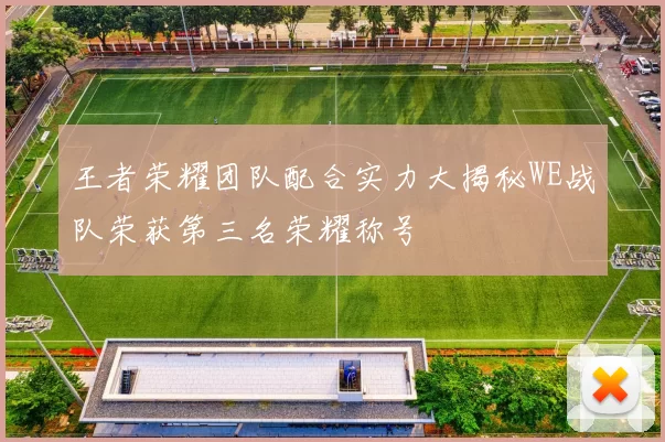 王者荣耀团队配合实力大揭秘WE战队荣获第三名荣耀称号