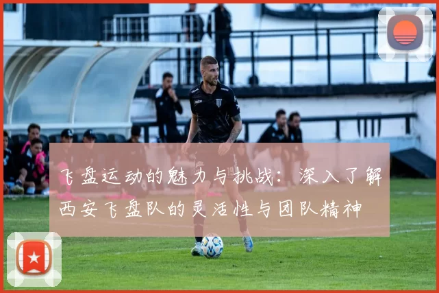 飞盘运动的魅力与挑战：深入了解西安飞盘队的灵活性与团队精神
