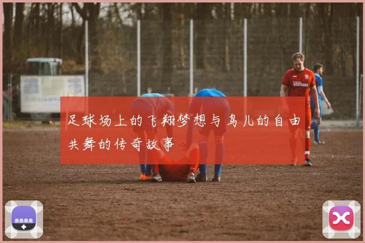 足球场上的飞翔梦想与鸟儿的自由共舞的传奇故事