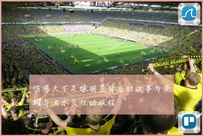 伤感天下足球明星背后的故事与荣耀与泪水交织的旅程