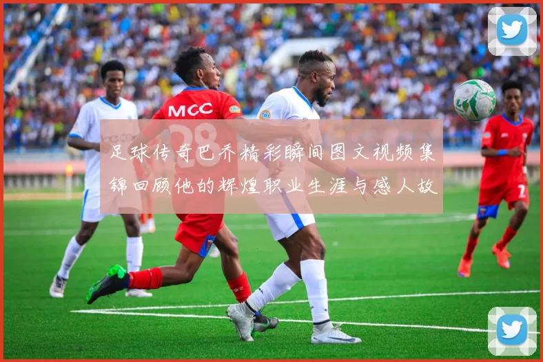 足球传奇巴乔精彩瞬间图文视频集锦回顾他的辉煌职业生涯与感人故事