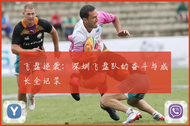 飞盘逆袭：深圳飞盘队的奋斗与成长全记录