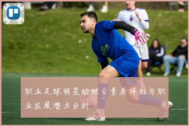 职业足球明星的综合素质评测与职业发展潜力分析