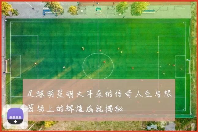 足球明星胡大耳朵的传奇人生与绿茵场上的辉煌成就揭秘