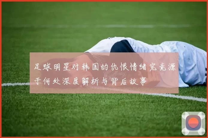 足球明星对韩国的仇恨情绪究竟源于何处深度解析与背后故事