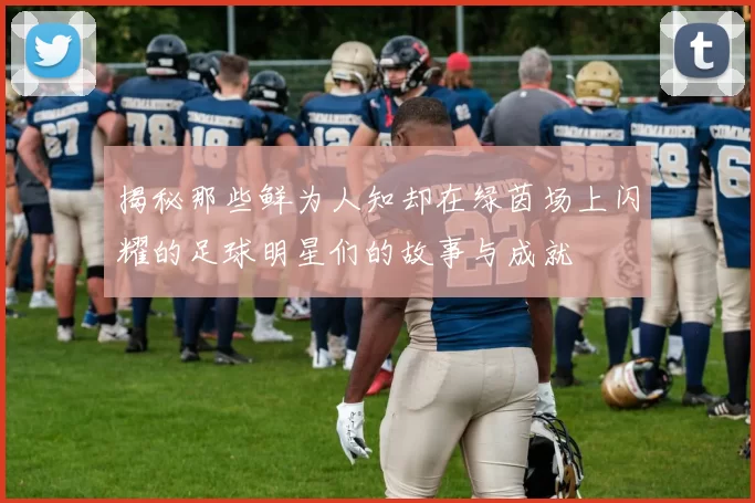 揭秘那些鲜为人知却在绿茵场上闪耀的足球明星们的故事与成就
